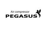 PEGASUS