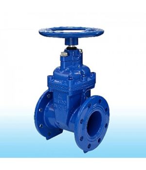 VAN CỬA CAO SU MẶT BÍCH PHI 60